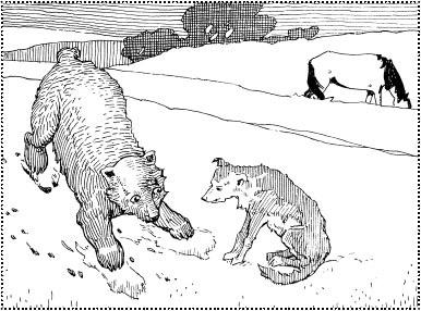 Медведь, собака и кошка (русская сказка)