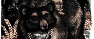 Медведь старой Мукасон (индейская) - Сказка народов Америки