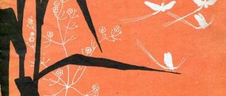 Метельки или тысяча и один день - Виталий Бианки