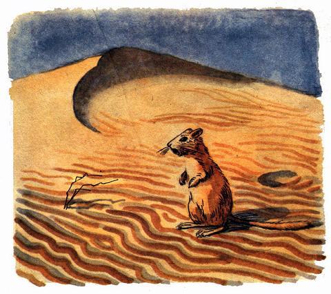 Смотрю: около норки, на склоне песчаного бугра, сидит маленький рыжий зверёк с пушистым хвостиком, сидит на задних лапках, поглядывает по сторонам и распевает