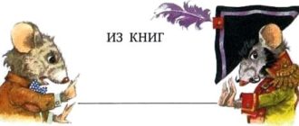 Мышиная фея. Невероятный побег - Эмили Бёрн - Зарубежные писатели