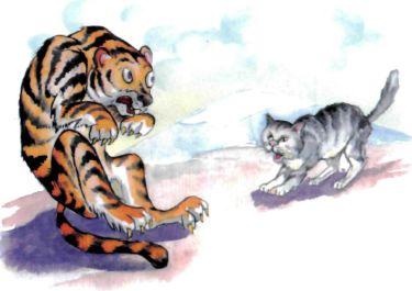 тигр и кот