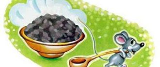 Мои географические открытия: Грецкие стихи - Андрей Усачев