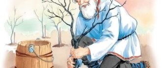 Мудрый старик - Лев Толстой