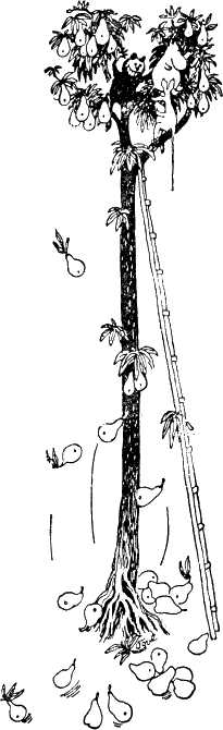 Муми-тролль и Снифф забрались на верхушку дерева и собирают фрукты груши