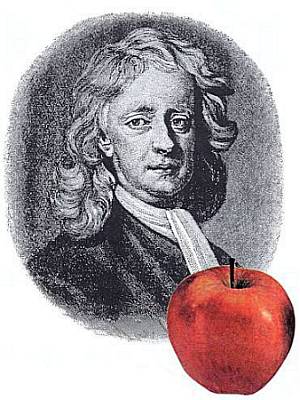 У многих имя Исаака Ньютона ассоциируется с яблоком, «подсказавшим» ему закон всемирного тяготения.
