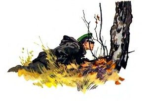 пограничник солдат в траве