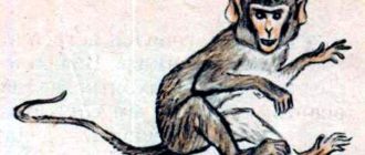 Обезьяна и лисица - Лев Толстой