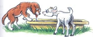 Сказка:щенок и козленок пьют из корыта воду