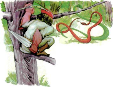 охотник выслеживает добычу две змеи