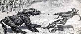 Осёл и старик-пастух - Эзоп