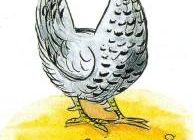 Петушок в желтых штанишках и курочка в рябеньком платьице - Кипнис И. - Зарубежные писатели