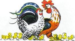 курочка курица и петух петушок с цыплятами детьми