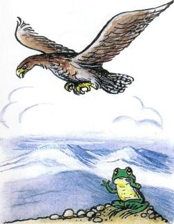 орел летит над морем лягушка на берегу