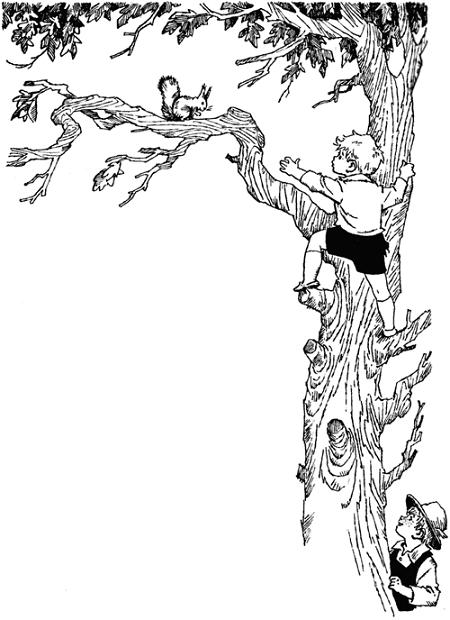 Мальчик Гонзик ползет по дереву за белкой