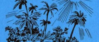 Помело и волшебная шишечка от кровати - Мэри Нортон - Зарубежные писатели