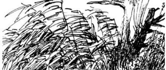 Последний чёрт - Константин Паустовский