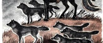 Повелитель волков (индейская) - Сказка народов Америки