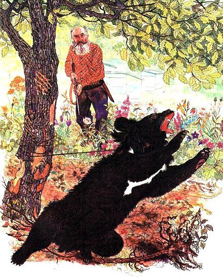старый охотник с ружьем и гималайский медведь запутался
