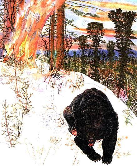 гималайский медведь идет по заснеженному лесу