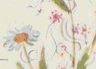 Повилика - Екатерина Серова