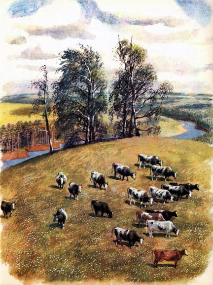 коровы пасутся на лугу