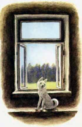 пес у окна