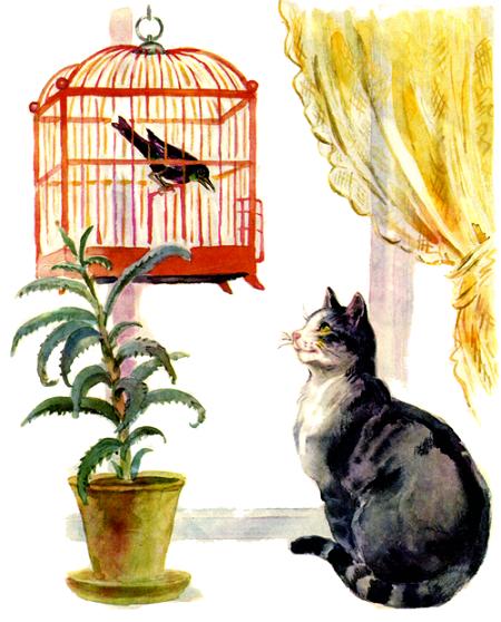 кот кошка и птица в клетке