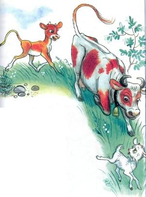 корова и теленок гонятся за козленком