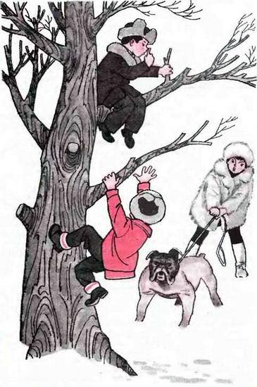 мальчишки залезли на дерево от собаки