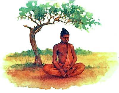 Будда обрел просветление, сидя под фиговым деревом.