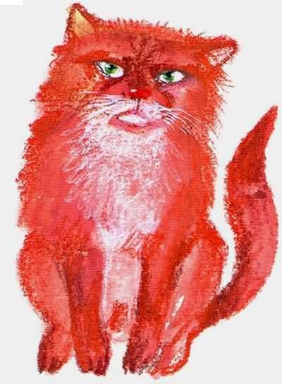 красный кот