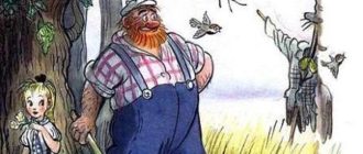 Ренатино не летает по воскресеньям - Рашел Р. - Зарубежные писатели