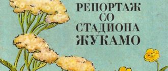 Репортаж со стадиона Жукамо - Виталий Бианки