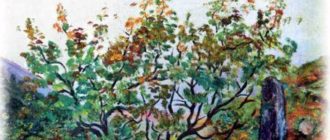 Сказка о княжеском сыне и золотых листьях - Ингушская сказка