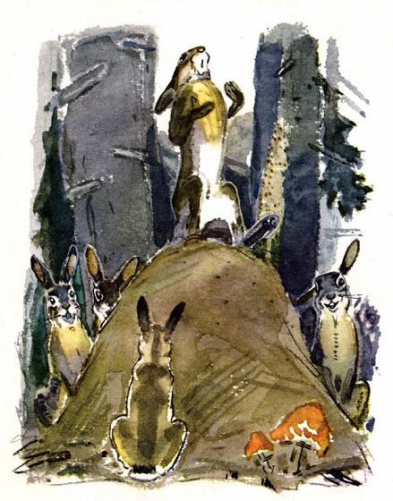 Храбрый Заяц и зайцы