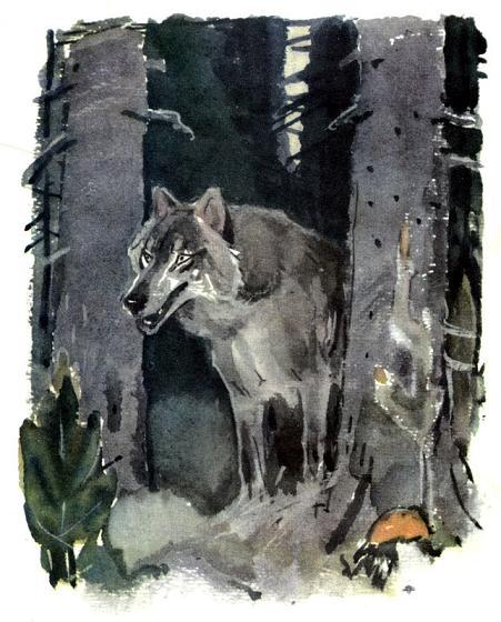 волк вышел из леса