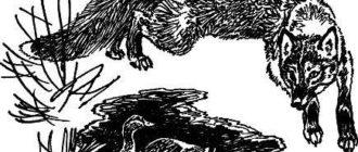 Сказки-несказки: Хитрый Лис и умная Уточка - Виталий Бианки