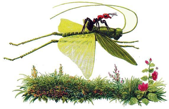 муравьишка верхом на кузнечике