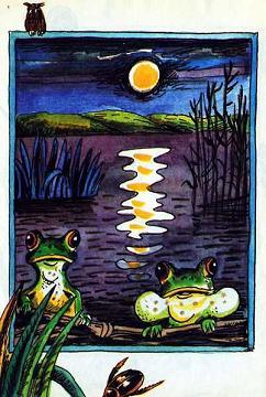 лягушки в пруду ночь