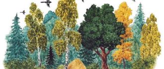 Сказки-несказки: Первая охота - Виталий Бианки
