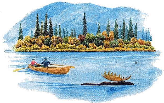 лось переплывает озеро реку