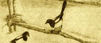 Сорока - Георгий Скребицкий