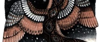 Сотворение солнца (индейская) - Сказка народов Америки