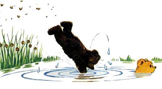 медвежонок Тедди Брюмм нырнул в воду озеро реку