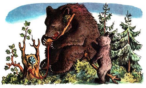 Телефон позвонил медведь