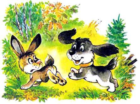 щенок и заяц