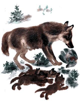 волчица с волчатами