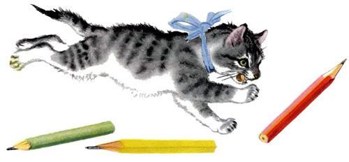 котенок и карандаши