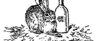 Ушан - Георгий Скребицкий